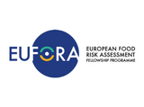 EU-FORA ösztöndíj program 2023-2024 – új pályázati felhívás!